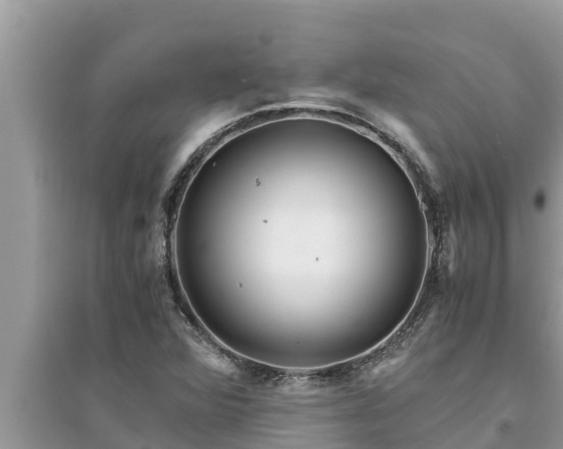 X0000095541360200712211338