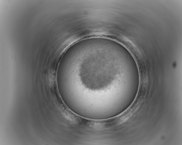 X0000095541361200712211338