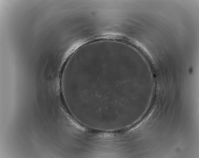 X0000095541362200712211338