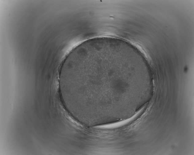 X0000095541363200712211338