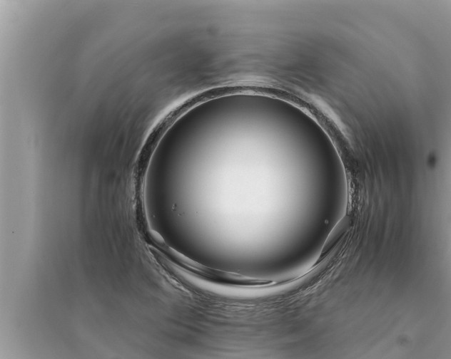 X0000095541364200712211338