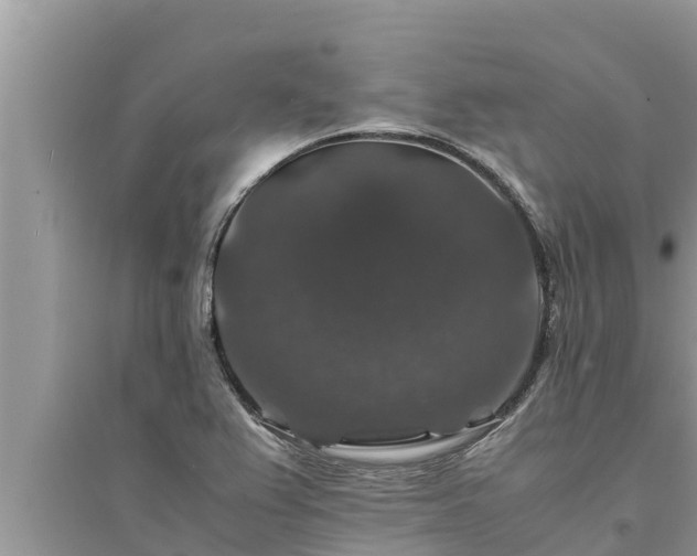 X0000095541367200712211338