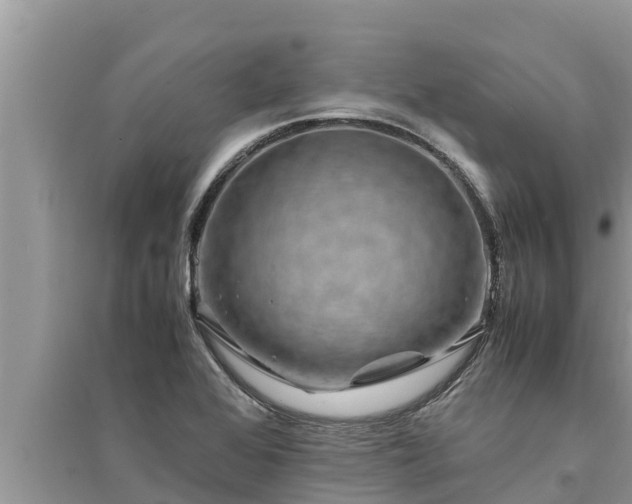 X0000095541368200712211338