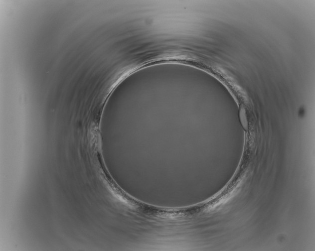 X0000095541369200712211338