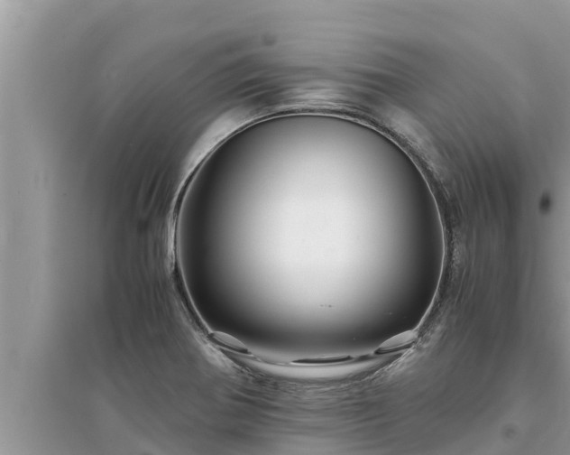 X0000095541370200712211338