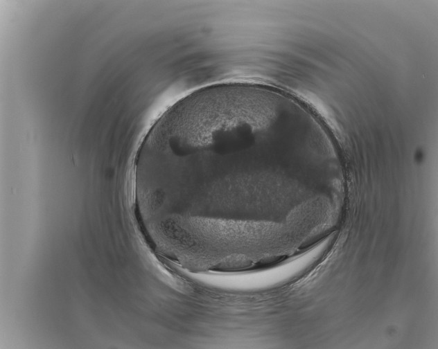 X0000095541371200712211338