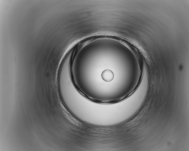 X0000095541372200712211338