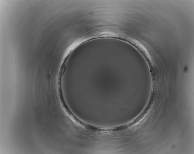 X0000095541373200712211338