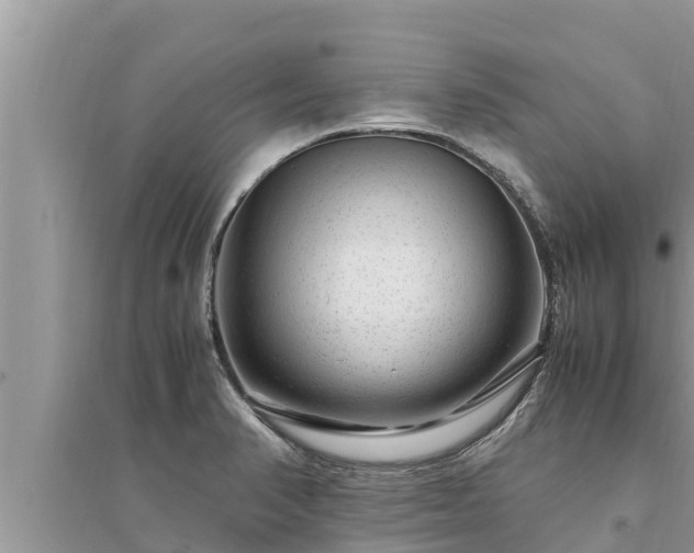 X0000095541374200712211338