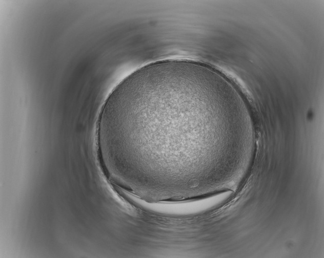 X0000095541375200712211338