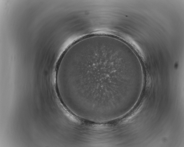 X0000095541376200712211338