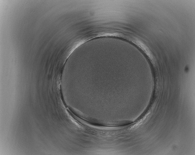 X0000095541377200712211338