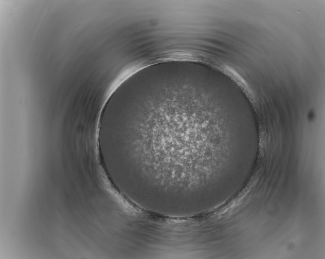 X0000095541378200712211338