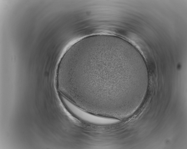 X0000095541379200712211338