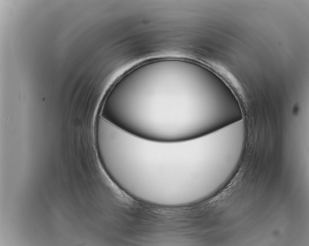 X0000095541380200712211338