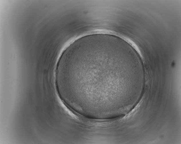 X0000095541381200712211338