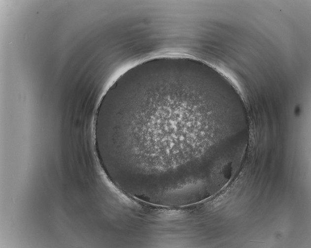 X0000095541382200712211338