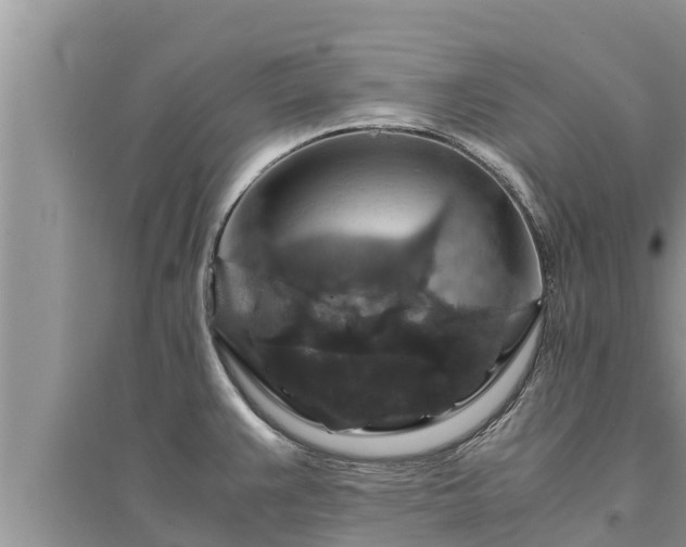 X0000095541383200712211338