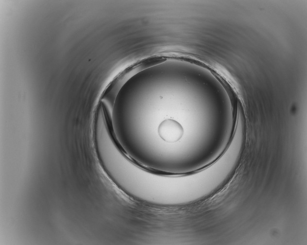 X0000095541384200712211338