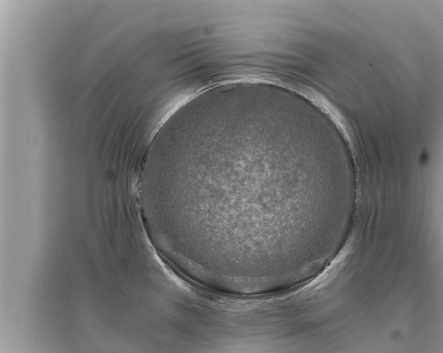 X0000095541385200712211338