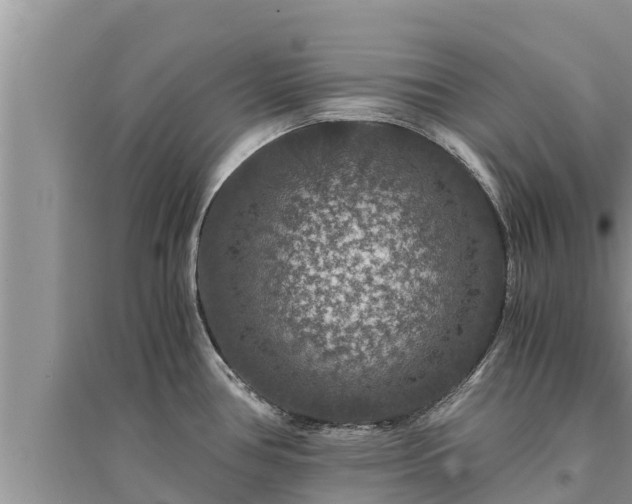 X0000095541386200712211338