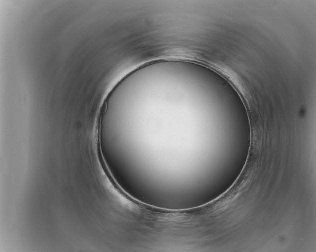 X0000095541387200712211338