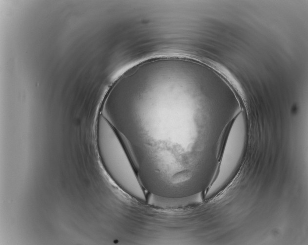 X0000095541388200712211338