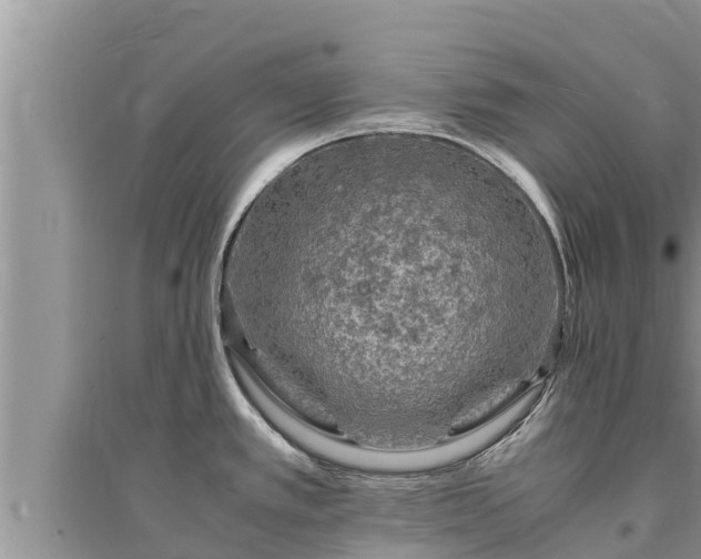 X0000095541389200712211338