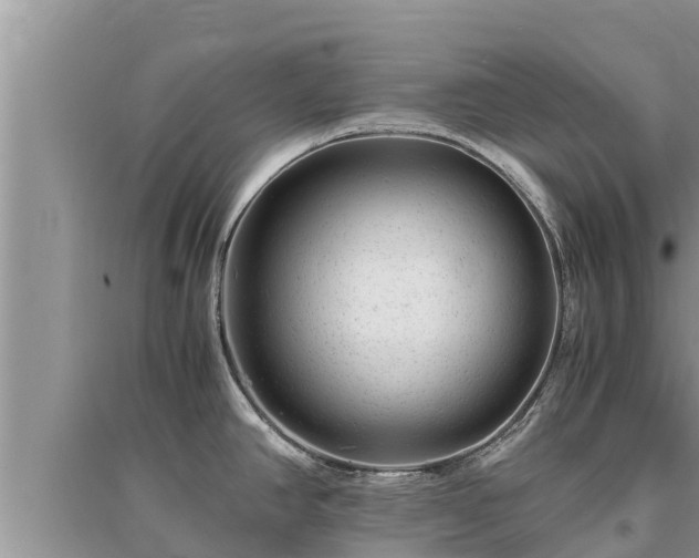 X0000095541390200712211338