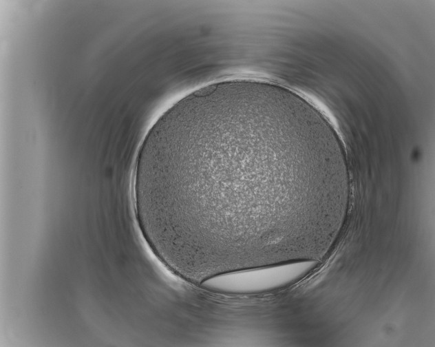 X0000095541391200712211338