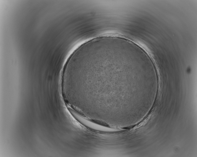 X0000095541392200712211338