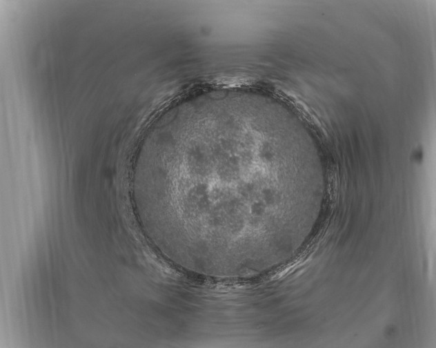 X0000095541393200712211337