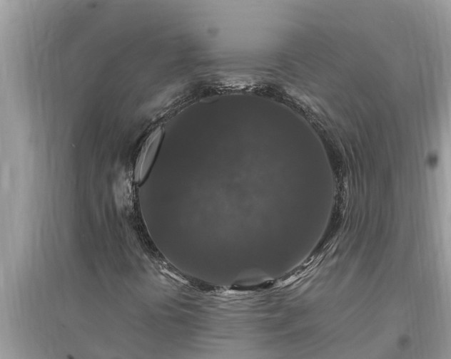 X0000095541394200712211337