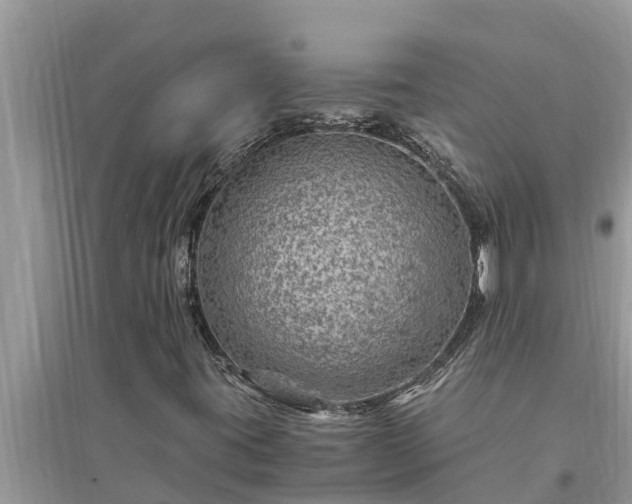 X0000095541395200712211337
