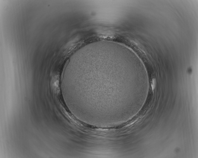 X0000095541396200712211337