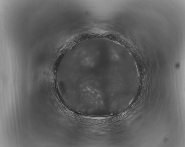 X0000095541397200712211337