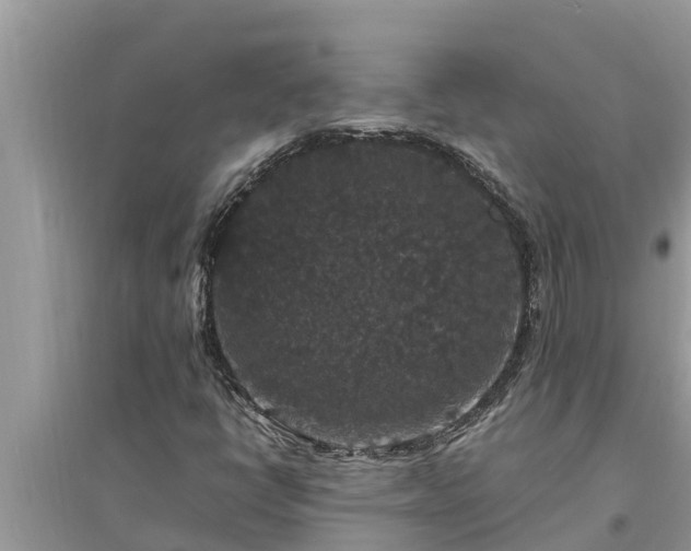 X0000095541398200712211337