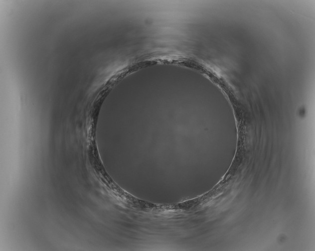 X0000095541399200712211337