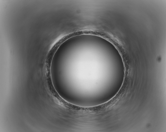 X0000095541400200712211337