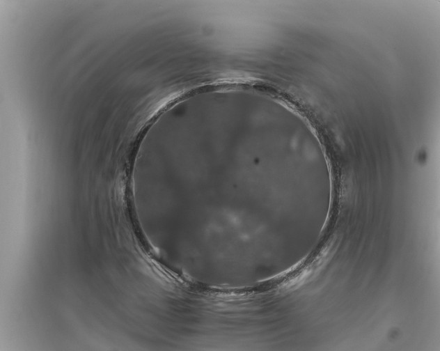 X0000095541401200712211337