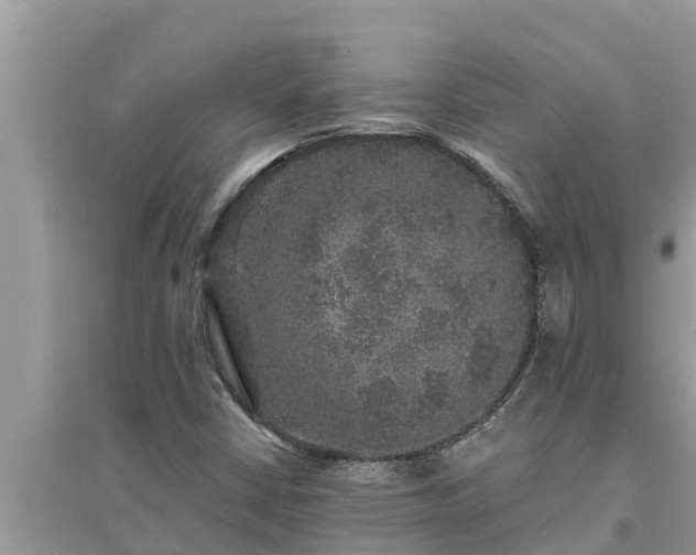 X0000095541402200712211337