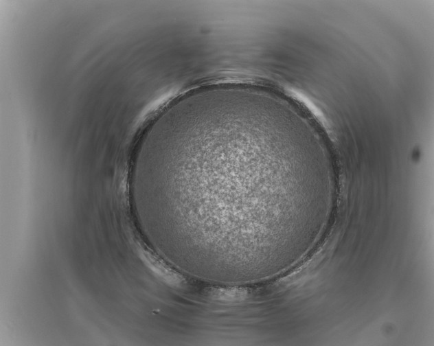 X0000095541403200712211337