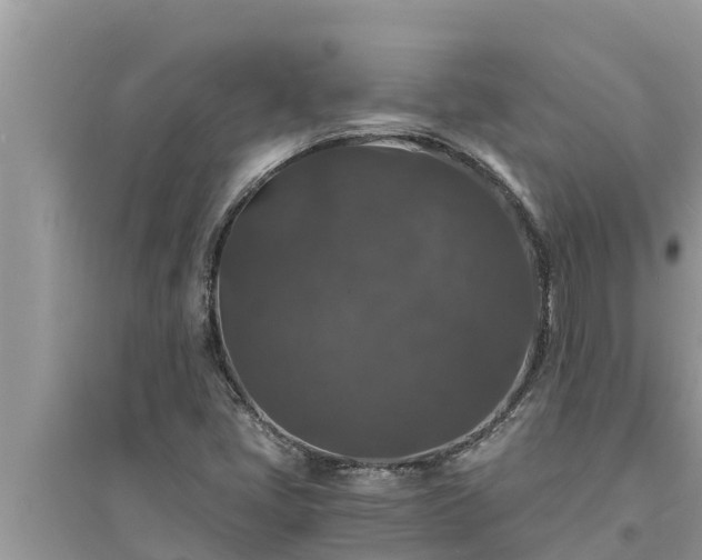 X0000095541405200712211337