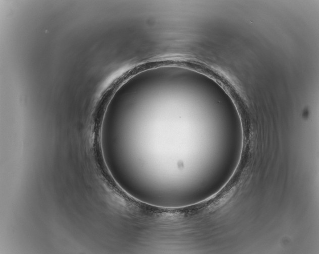 X0000095541406200712211337