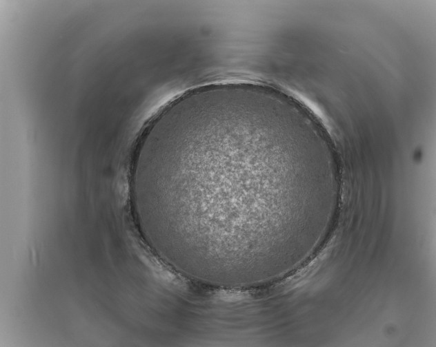 X0000095541407200712211337