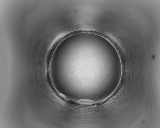 X0000095541408200712211337