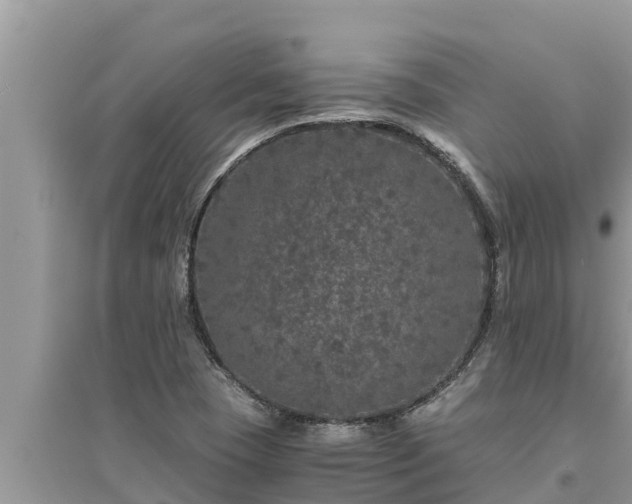 X0000095541409200712211337