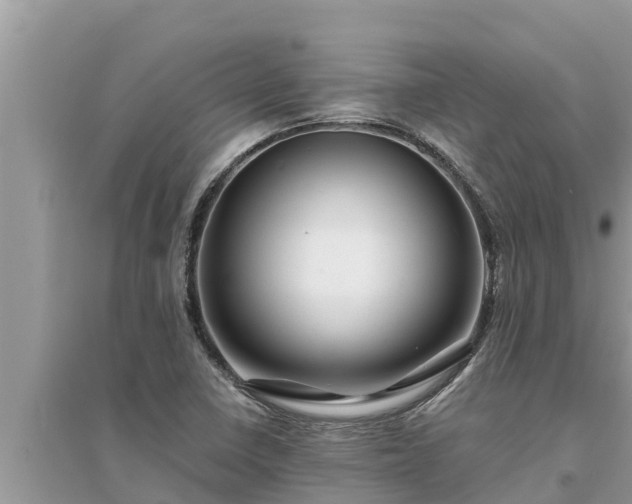 X0000095541410200712211337