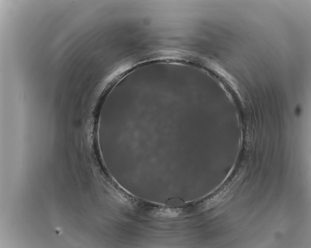 X0000095541411200712211337