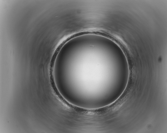 X0000095541412200712211337